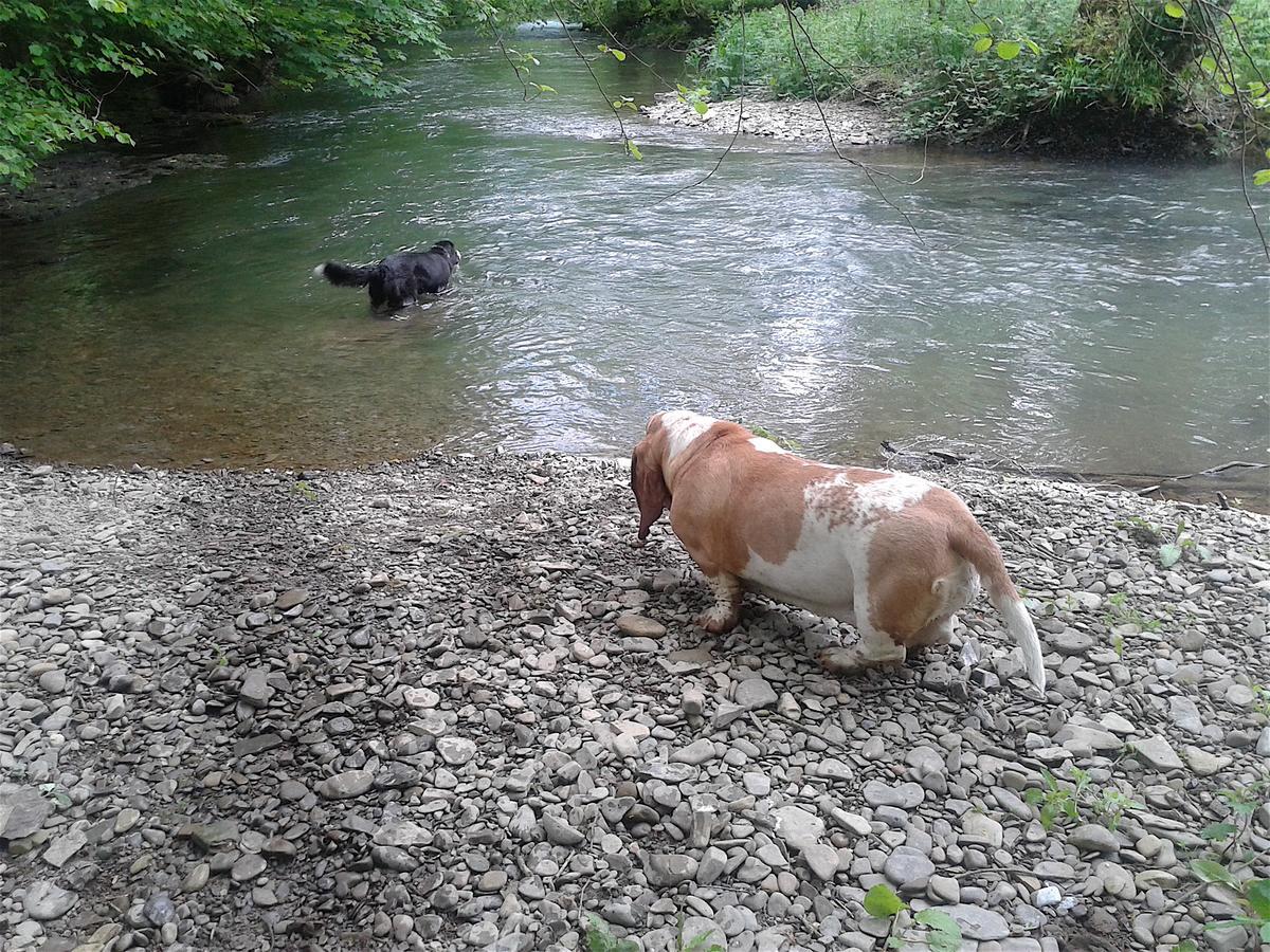 Mortimer Trail B And B Aymestrey Zewnętrze zdjęcie